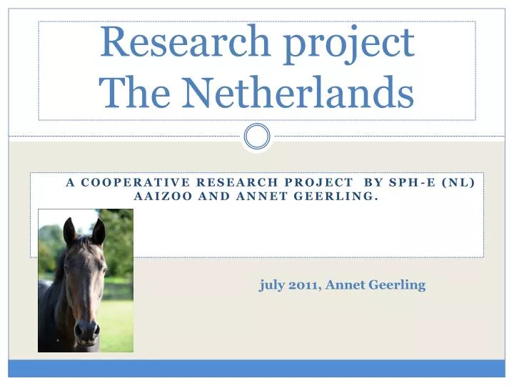 research project the netherlands