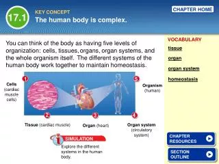 The human body is complex.