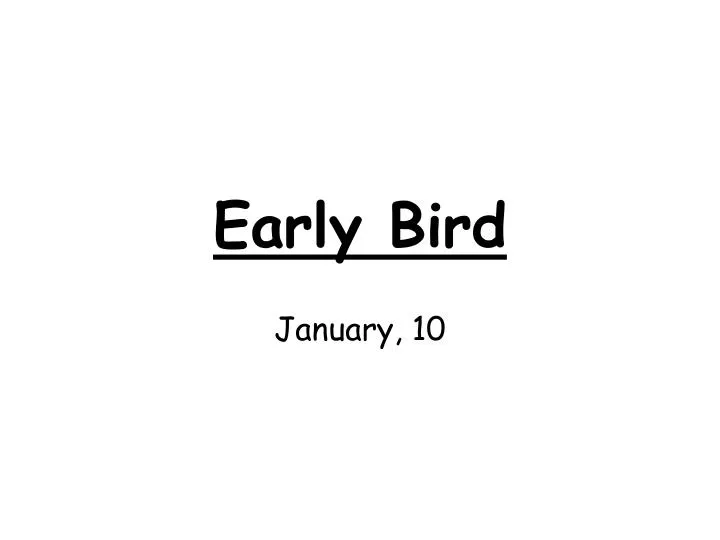 early bird