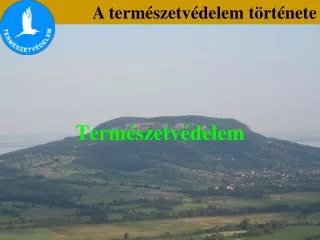 term szetv delem