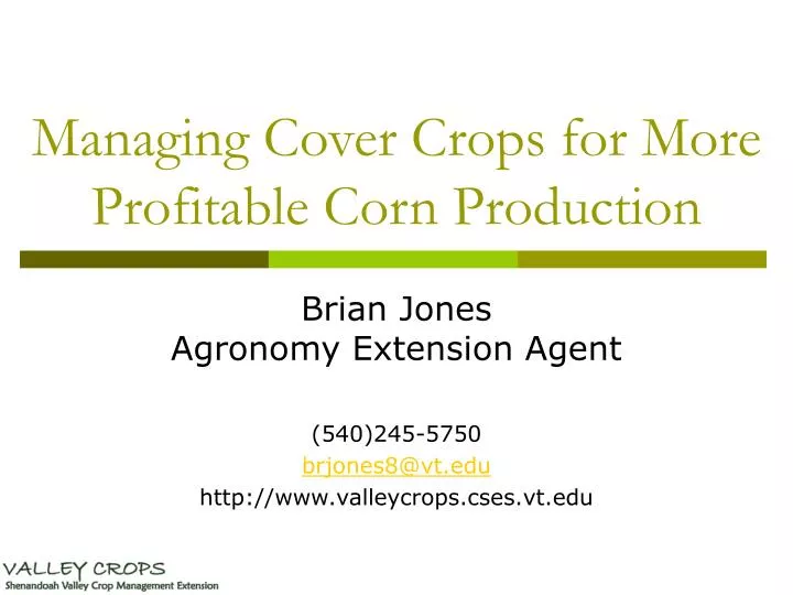 managing cover crops for more profitable corn production