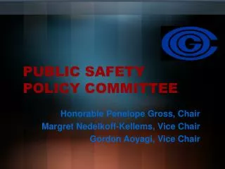 PUBLIC SAFETY POLICY COMMITTEE