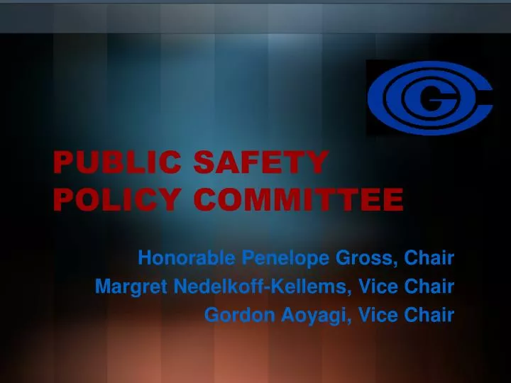 public safety policy committee