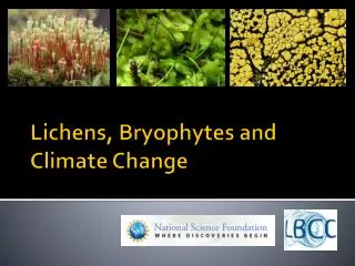 Lichens, Bryophytes and Climate Change