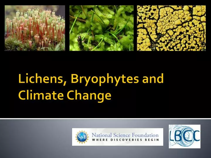 lichens bryophytes and climate change