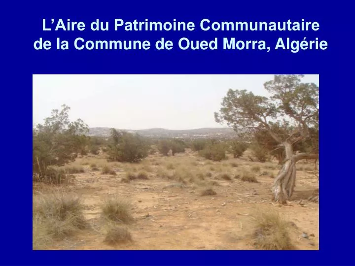 l aire du patrimoine communautaire de la commune de oued morra alg rie