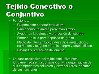 tejido conectivo o conjuntivo