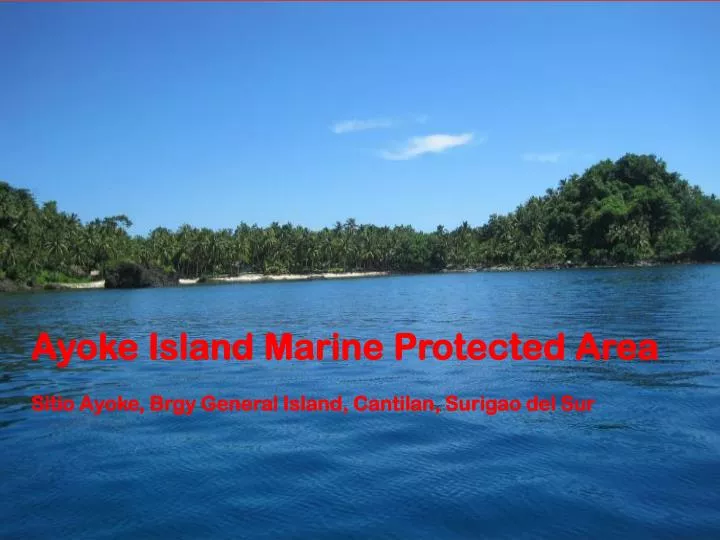 ayoke island marine protected area sitio ayoke brgy general island cantilan surigao del sur