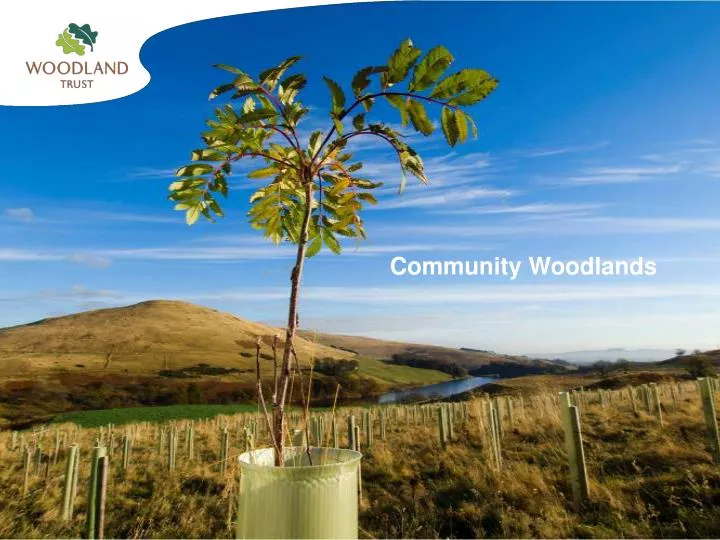 community woodlands