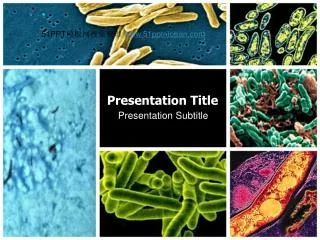presentation title