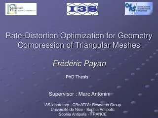 Rate-Distortion Optimization for Geometry Compression of Triangular Meshes