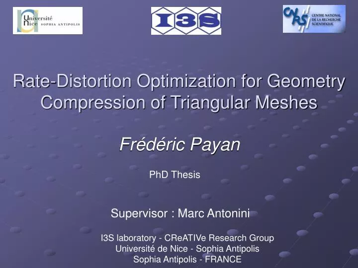 rate distortion optimization for geometry compression of triangular meshes