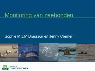monitoring van zeehonden