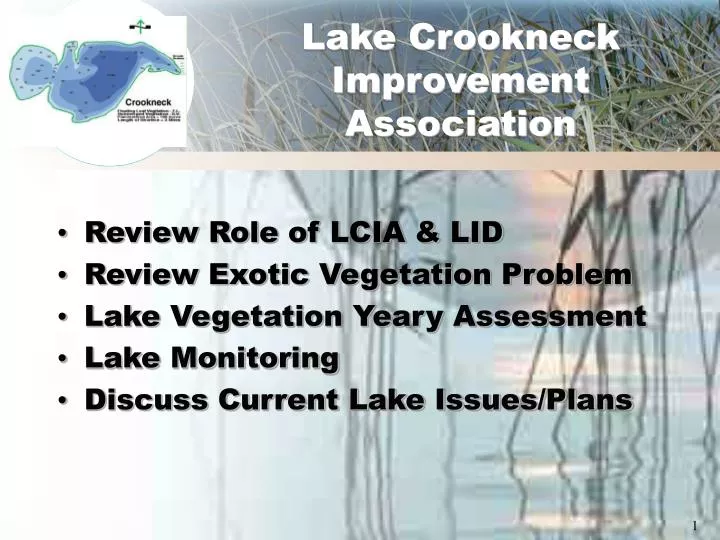 lake crookneck improvement association