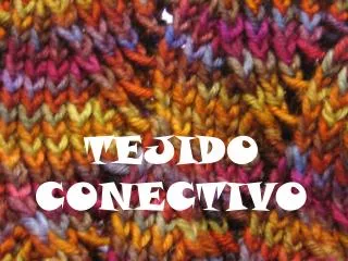 tejido conectivo