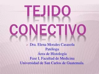 tejido conectivo