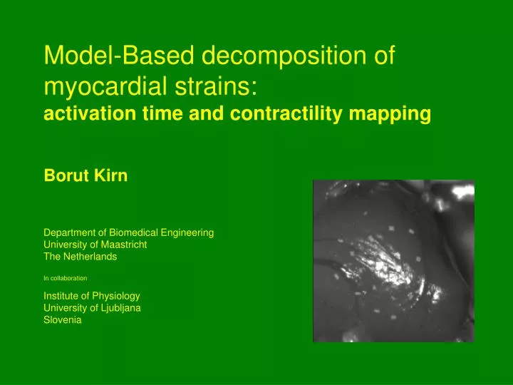 model based decomposition of myocardial strains activation time and contractility mapping