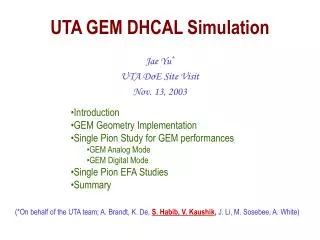 UTA GEM DHCAL Simulation