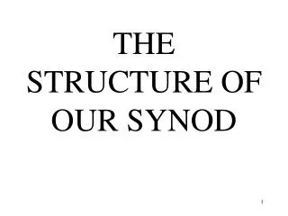 THE STRUCTURE OF OUR SYNOD