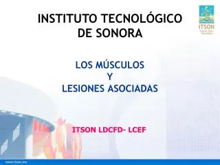 los m sculos y lesiones asociadas