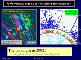 Performances studies of the calorimeter/muon det.