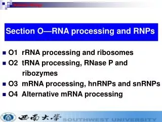 O1 rRNA processing and ribosomes O2 tRNA processing, RNase P and ribozymes