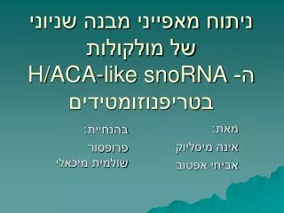 h aca like snorna