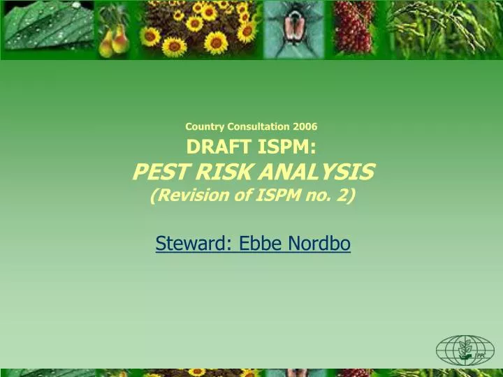 country consultation 2006 draft ispm pest risk analysis revision of ispm no 2