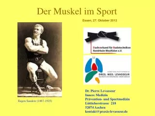 Der Muskel im Sport