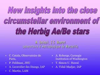 New insights into the close circumstellar environment of the Herbig Ae/Be stars