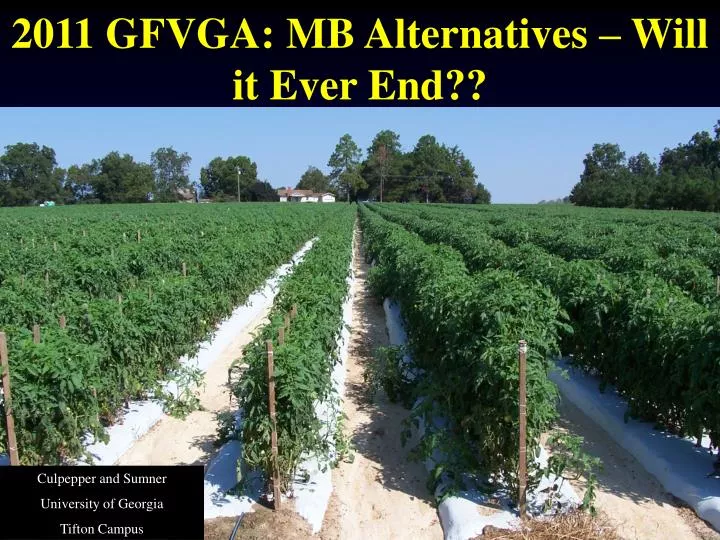 2011 gfvga mb alternatives will it ever end
