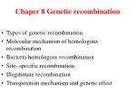 Chaper 8 Genetic recombination - slide 1