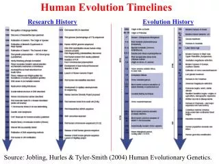 Human Evolution Timelines