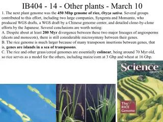 IB404 - 14 - Other plants - March 10