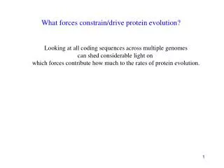 What forces constrain/drive protein evolution?