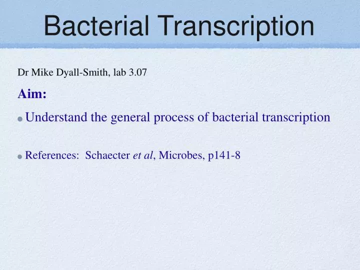 bacterial transcription