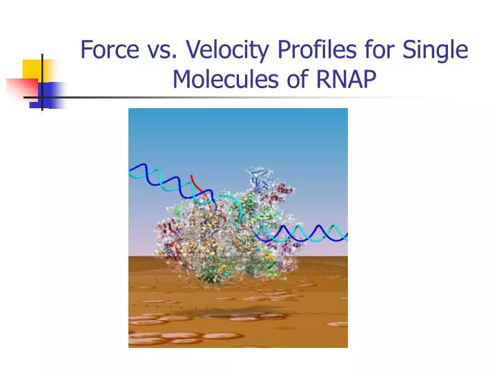 force vs velocity profiles for single molecules of rnap