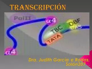 transcripci n