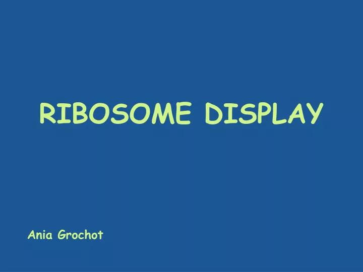 ribosome display