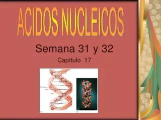 semana 31 y 32 cap tulo 17