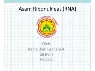 asam ribonukleat rna