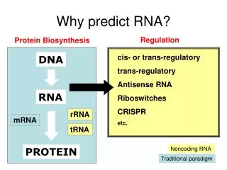 Why predict RNA?