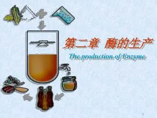 the production of enzyme