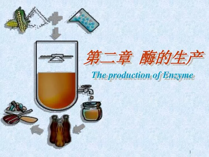 the production of enzyme