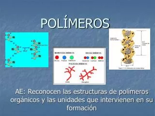 pol meros