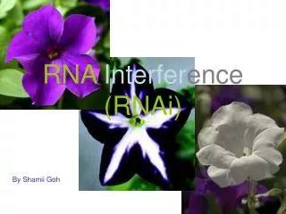 RNA Interfer ence (RNAi)