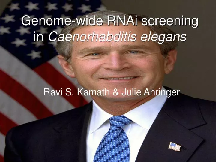 genome wide rnai screening in caenorhabditis elegans