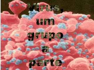 v rus um grupo a parte