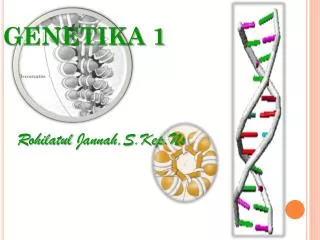 genetika 1
