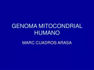 genoma mitocondrial humano